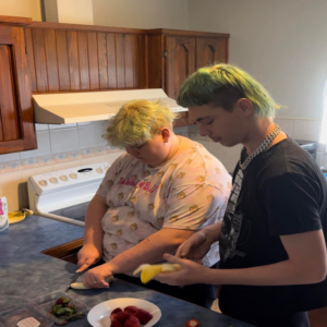 SHORT TERM ACCOMMODATION (RESPITE)